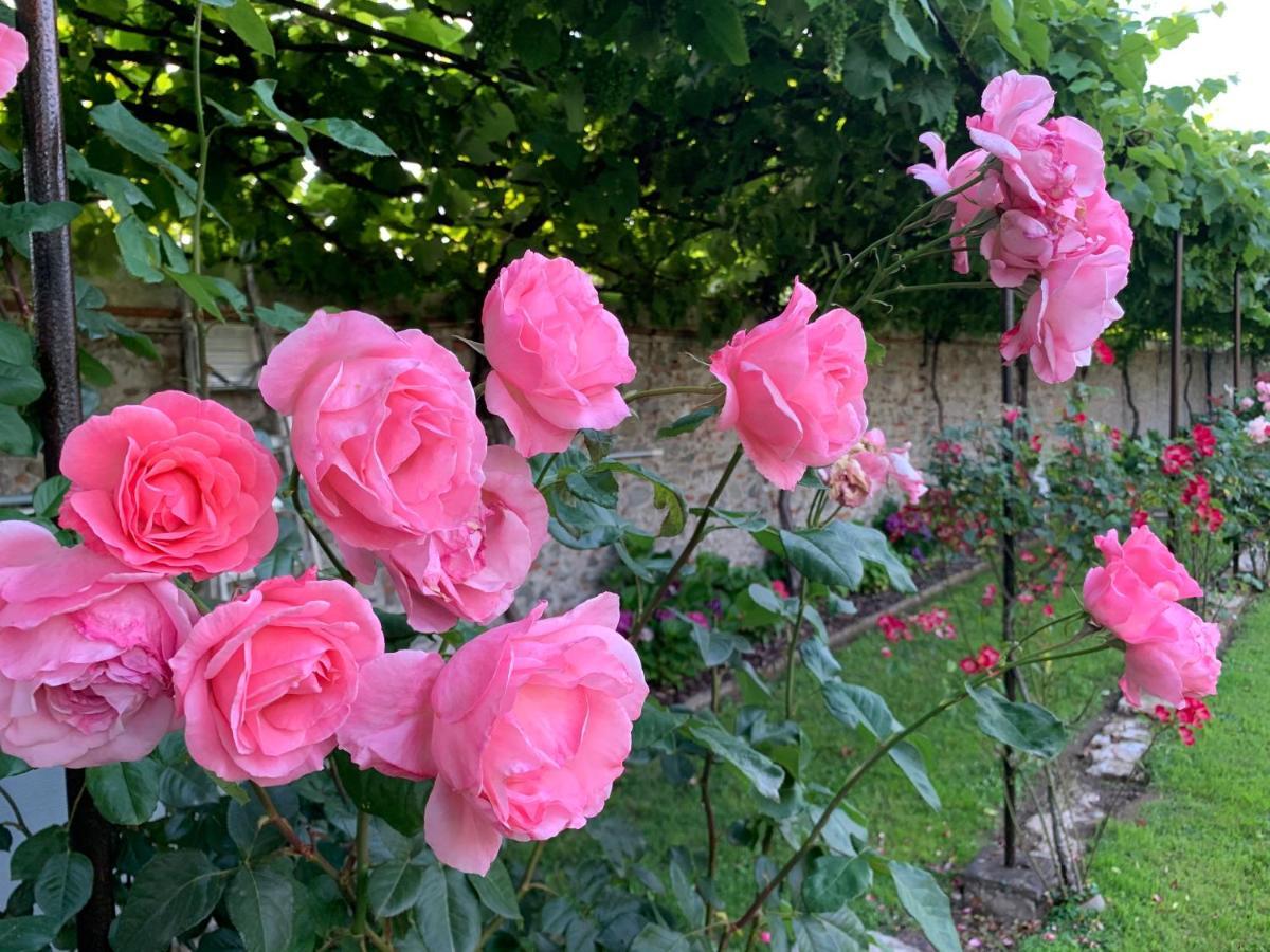 لوكا Villa La Preziosa المظهر الخارجي الصورة