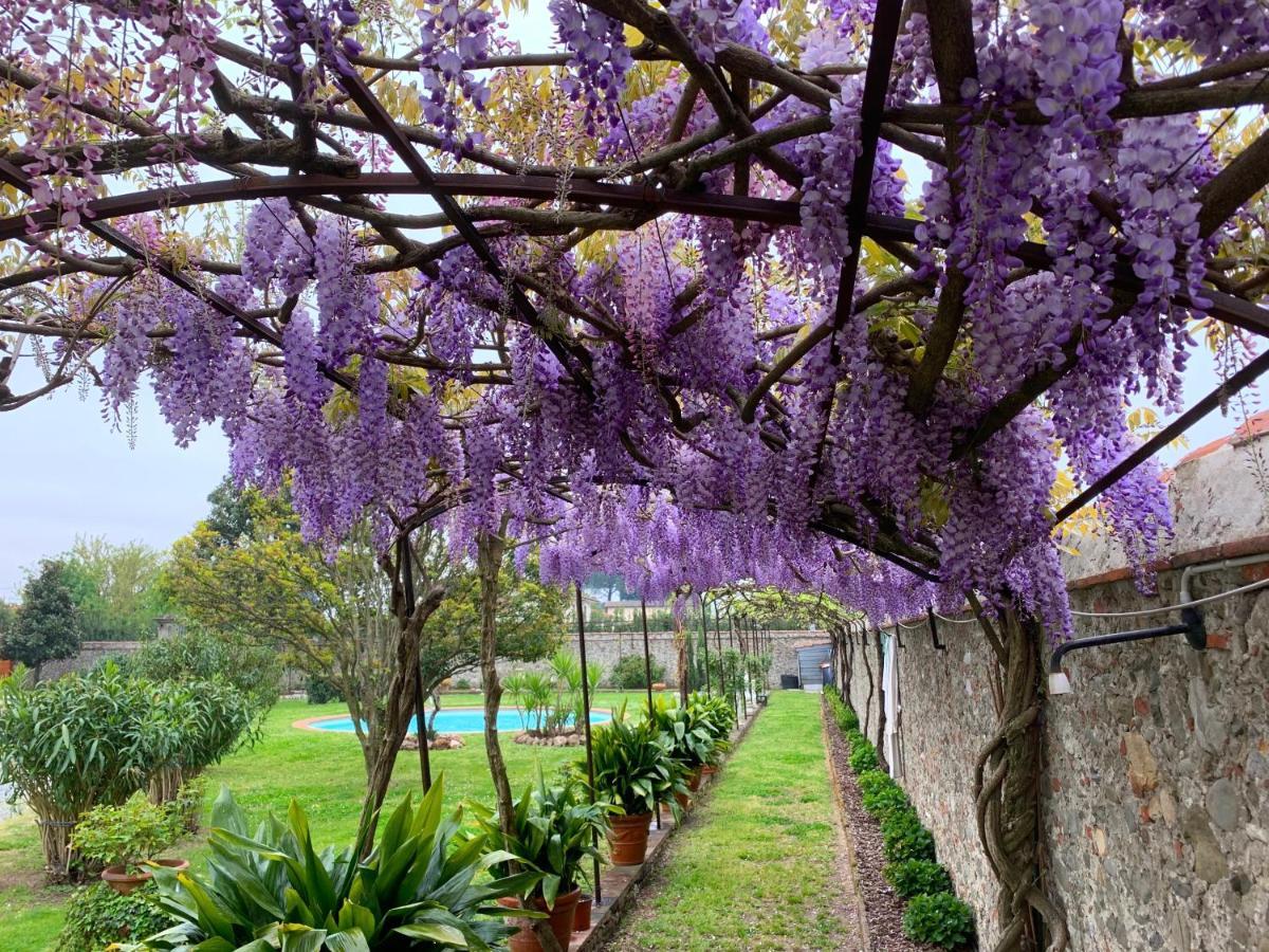 لوكا Villa La Preziosa المظهر الخارجي الصورة